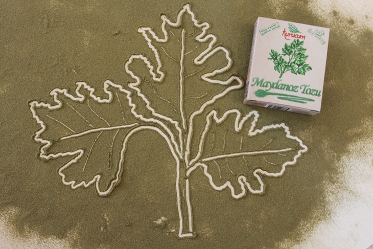 dried parsley powder2